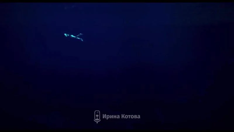 Кадры из сериала Полёт птицы 7 серия 1 сезон (2022)